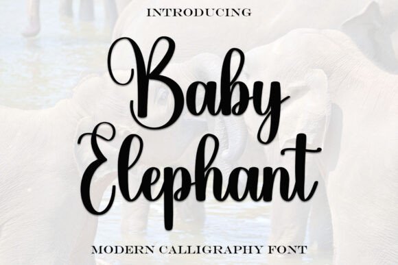 Baby Elephant: A Playful Script for Bold Branding